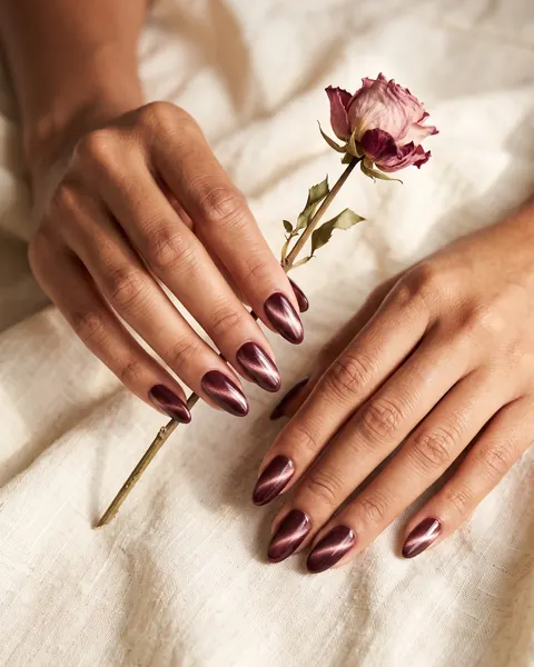 Long almond nails in burgundy velvet cat-eye gel holding a dried rose